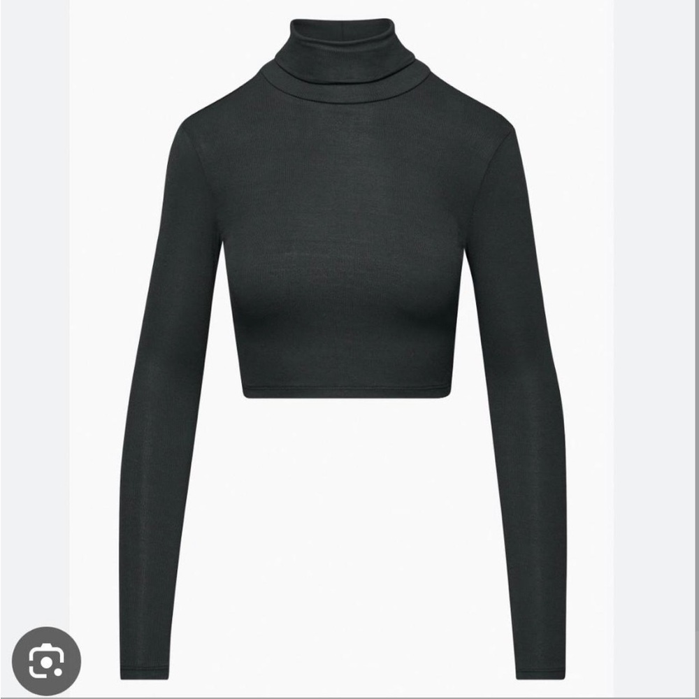 Aritzia freshman turtleneck